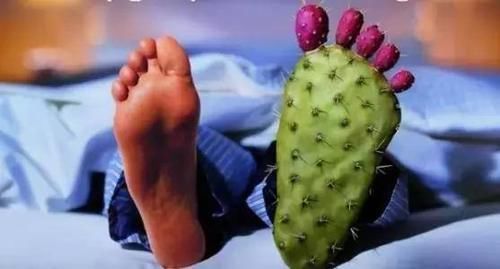 鱼籽|得了痛风一口鱼都不能吃吗？别傻了，这4类才是真正不能吃的