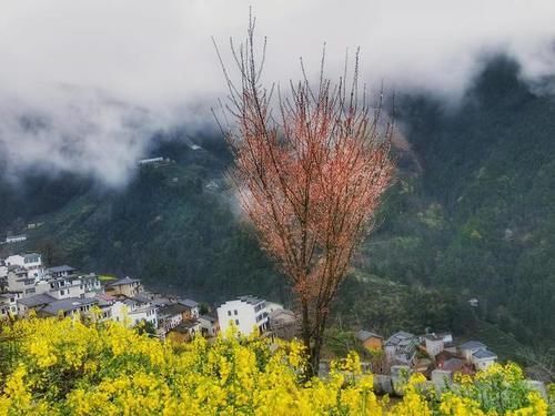 狮石公路|皖南天路行：徽州蜈蚣岭村美丽又安静，我在这里玩爽了