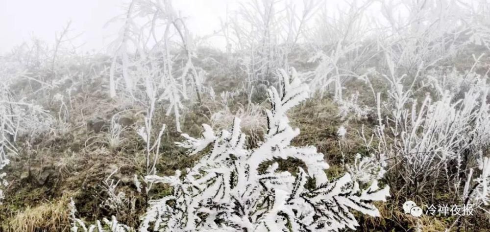 惊现|黔西南这个地方惊现“冰河世纪”！冰刀凝剑迎风舞，洁白无暇仰天啸！