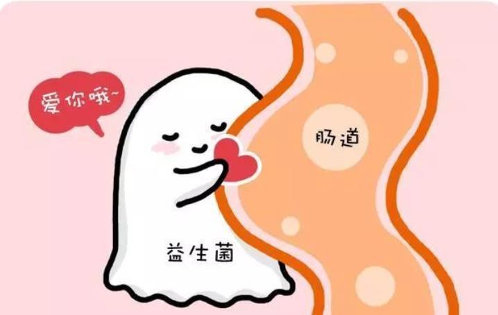 肠道|夏季宝宝腹泻高发!宝妈们做好这四点,全方位保护孩子健康