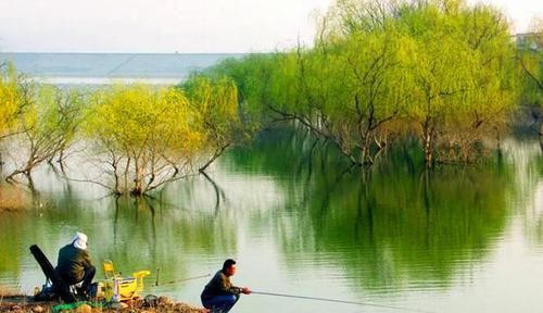 野钓必杀技：揭示钓位选择秘诀，哪里鱼儿扎堆，一看便知晓！