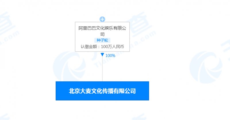 优酷信息技术有限公司|阿里文娱接盘优酷全资控股大麦网