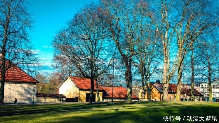 全球|全球首个“无现金”的国家:现金使用率仅有2%,多家银行已停止现金服务