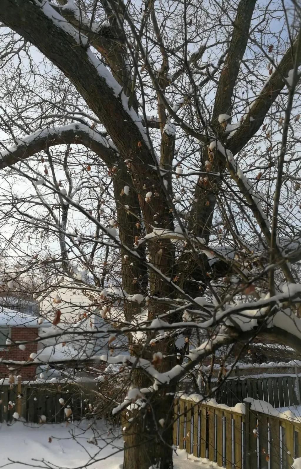 等我老了以后,找个小院陪你养花种菜!