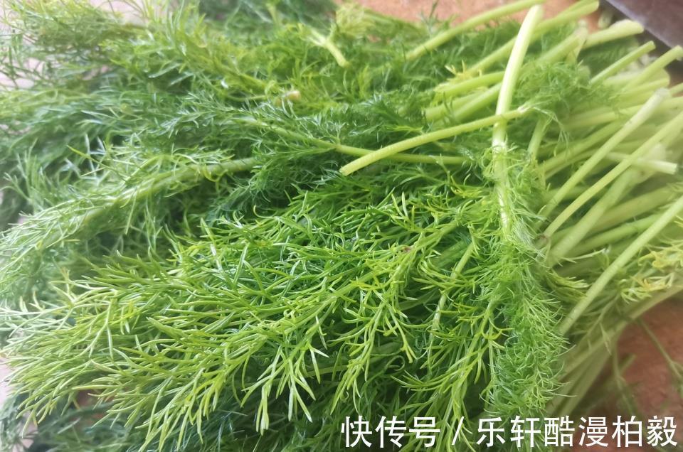 花生油|夏天吃饺子这馅真好吃，皮薄馅大汤汁四溢，出锅连吃40个真过瘾