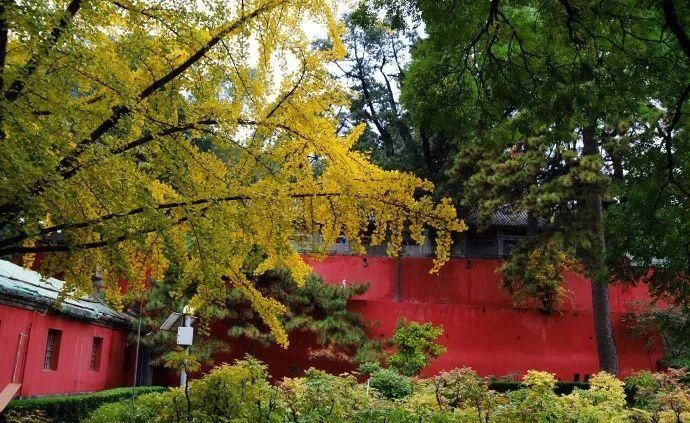  门头沟|古寺有灵知秋日，芳华无限在戒台——到门头沟最美的寺庙打卡