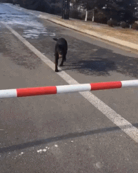 |搞笑GIF:这模特脚崴了还能继续走路?