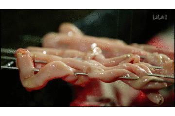  湛江|中国烧烤图鉴，在中国没有什么是不能“烤”的！