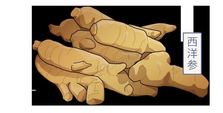 药材|中医2个药材，有效补气排毒，“体毒”没了，便秘等症状就缓解了