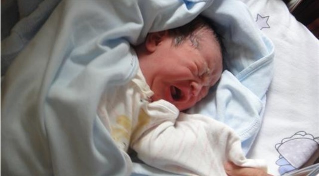 出生证|给娃取名叫王奈,办出生证时护士打错字,妈妈不怒反笑:不改了