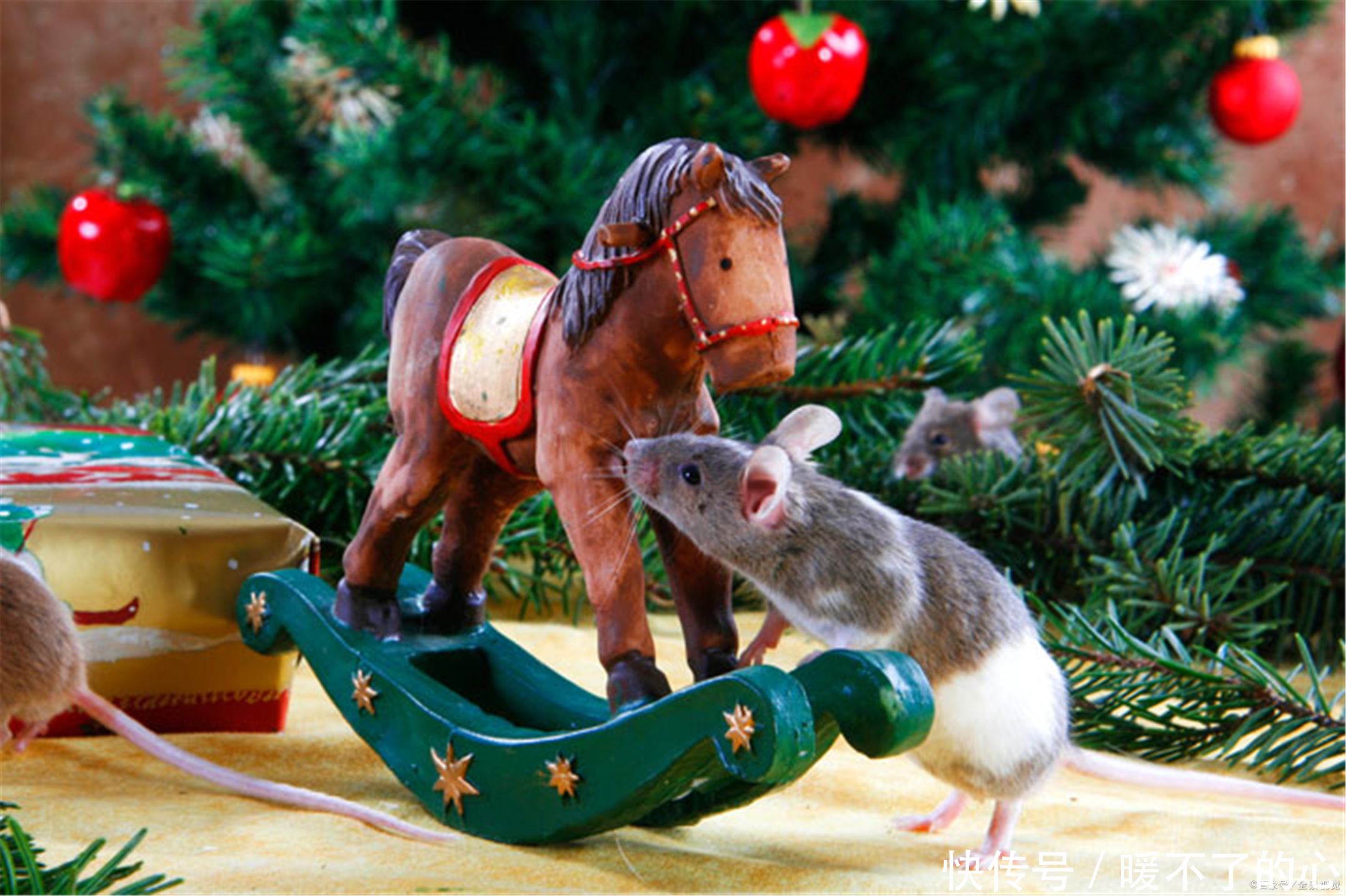 睡眠时间|睡眠专家告诉你—睡得好,醒得好的秘诀