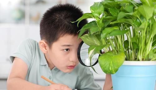 九月出生的孩子上学最吃亏？真正亏了的是这两个月份，男孩更明显