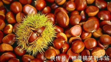 栗果|秋季板栗大量上市,将板栗放进冰箱冻一冻,几个好处让你意想不到