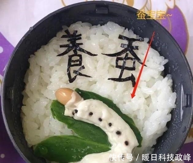 天天|日本妈妈天天做“黑暗料理”，把儿子逼上东京大学：再也不想吃了