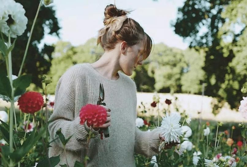  作用|白醋的各种妙用有很多，生活中的许多方面，均可以带来帮助