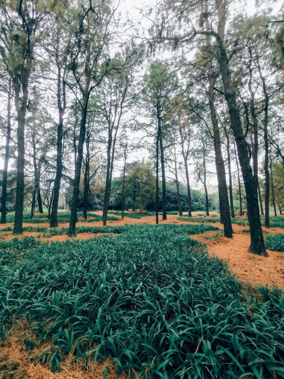 冬天的植物园，才不是你想的那样！