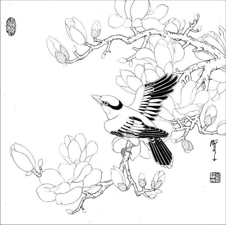 资料集|王道良实用花鸟白描资料集