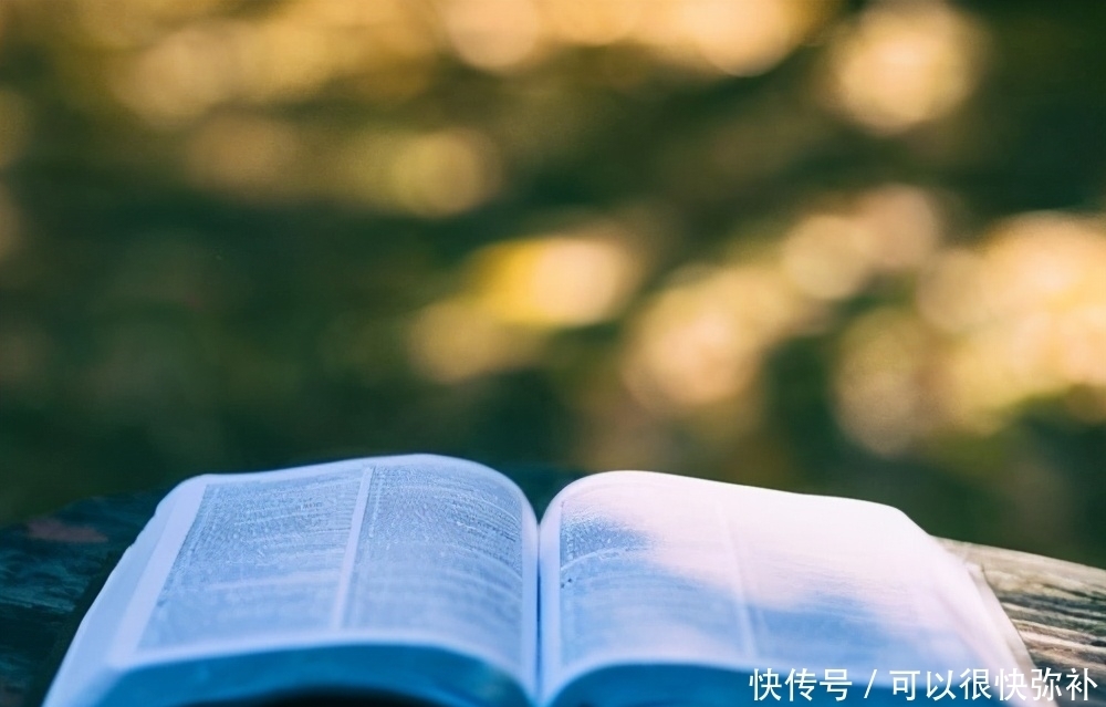 浅显|关于写文章的一点浅显心得