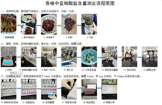 食香椿要不要焯烫？一组对比实验数据给出科学答案