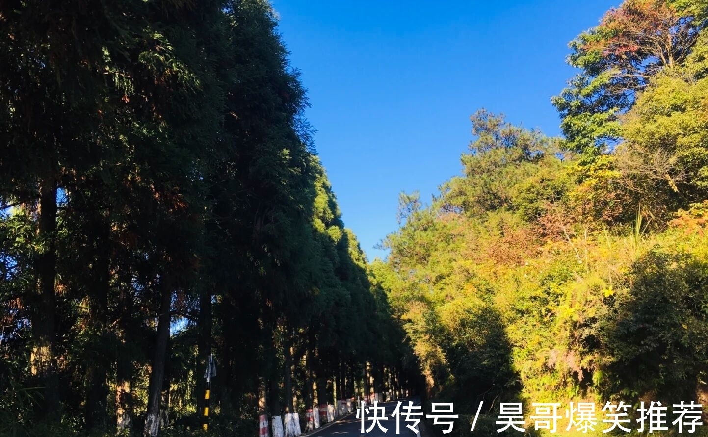 福州|漫步福州｜与鼓山来一场秋日邂逅