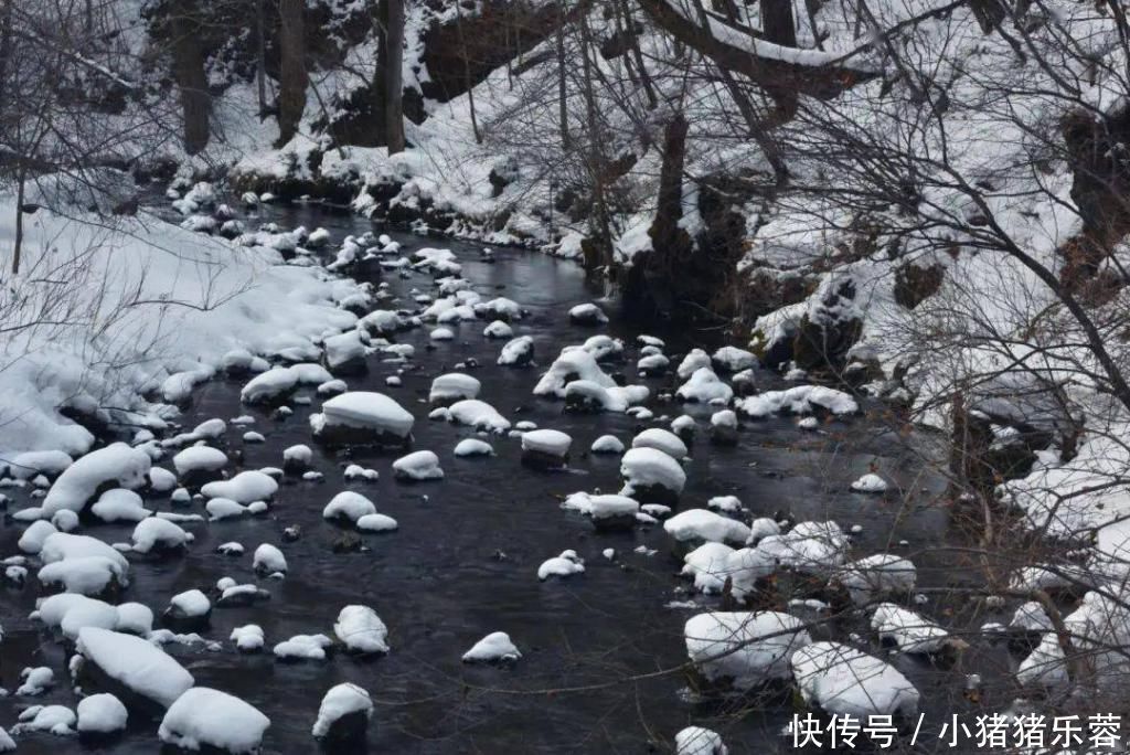 沉淀|入冬而不冻的奇观,来自“冰河”的叮咚优雅