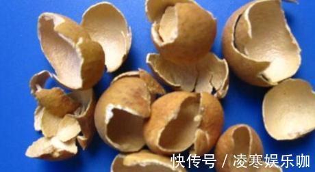 桂圆全身都是宝，桂圆肉、桂圆壳、桂圆核都是良药，各个有奇效！