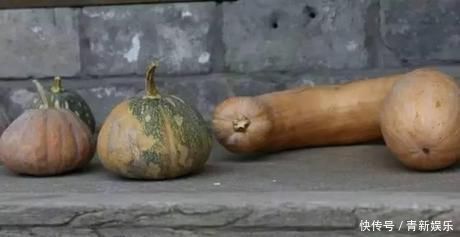 桃花源|20多岁的年龄差距,却把一个破烂的农家小院变成了“桃花源”