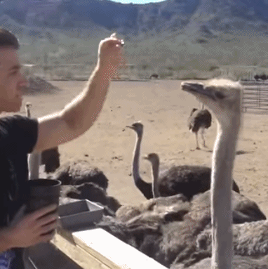 |搞笑GIF:当时就吓懵了 不是说好的只是洗澡吗