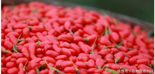 营养|这样喝枸杞,竟然能补元气