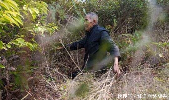 农民把地窖建在古墓上,考古队赶来,挖出价值6亿的珍宝