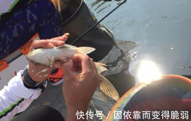 技巧|【钓鱼技巧】钓鱼时一个不经意的操作,竟是切线的罪魁祸首