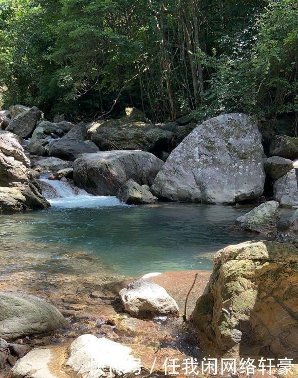 山林|消失的“溪流女王”,钓这种鱼曾是许多南方人的童年记忆