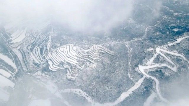 景山公园|雪，飘啊，飘啊，飘啊……