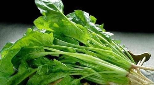 食物|会吃的人最健康,三种食物离不开,排毒养颜,越吃越年轻!