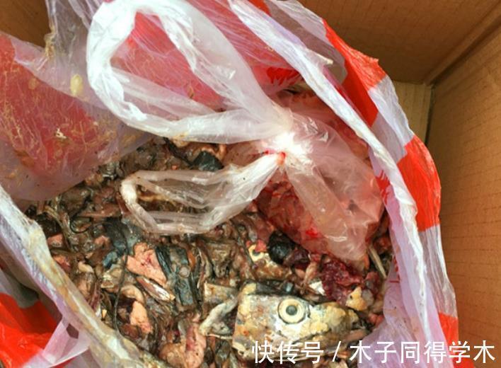 株苗|养花催花用这种“水”,株苗2周就冒花,开花又多又美,密如麻