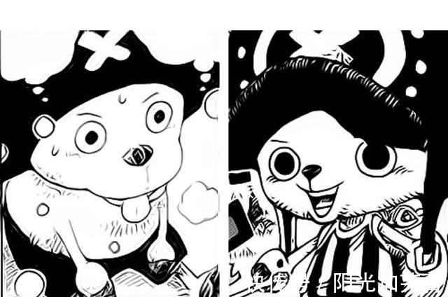 乔巴|海贼王中草帽团的成长变化,全员实力大幅增长,弗兰奇有隐藏料