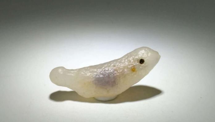 赏玩|赏玩奇石,能让人充满对自然的热爱,奇石的魅力更是无与伦比