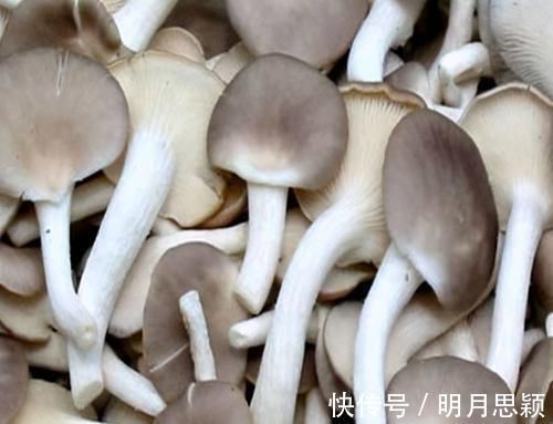 食物|女性想要身体好，可以多吃3种食物，排毒养颜，提高免疫力！