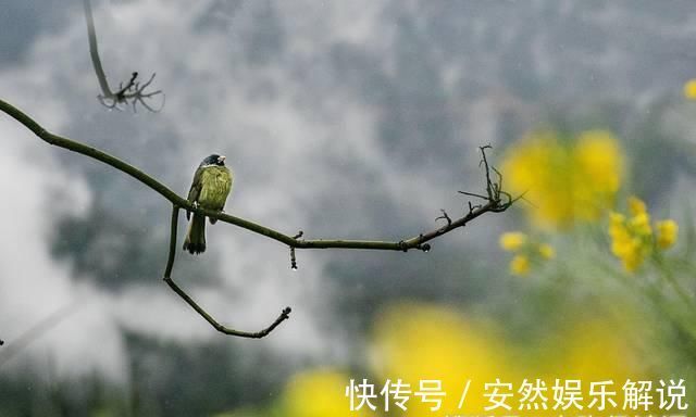新官|杜牧新官上任写下一首唐诗，开头“潇洒”2字，挡不住内心的矛盾