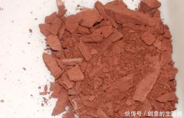 这4样东西丢掉就是浪费,撒在花盆里,花草猛窜芽,花朵爆满盆!