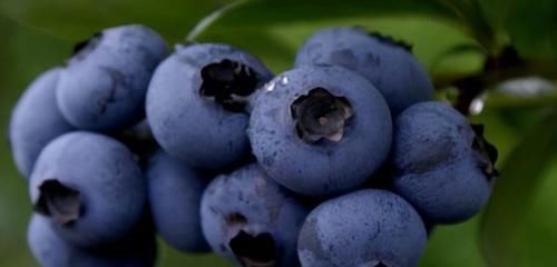  养颜|聪明的人都在吃3种食物，排毒养颜、延缓衰老，好吃又健康！