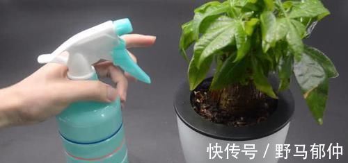 不管多难养的花,浇水时加点它,不黄叶还不烂根,比花肥还好用