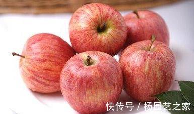 常吃|秋季养生要会吃，常吃3物，养颜美容、美容护肤，提高免疫力