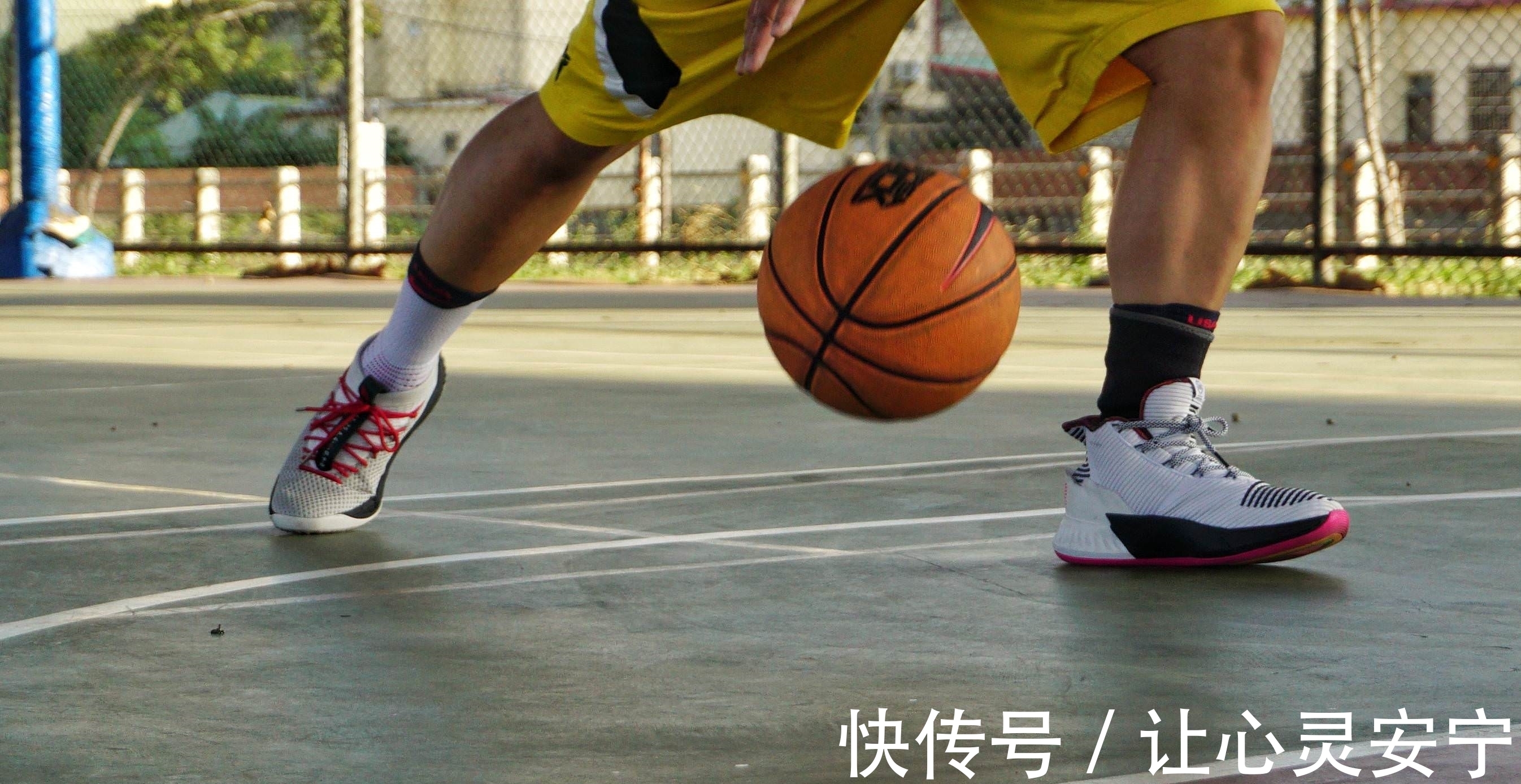 rose 9|依旧带刺的玫瑰-adidas D ROSE 9
