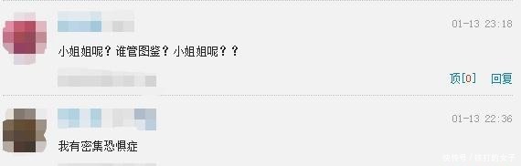 日本小姐姐改造“神奇宝贝”风格浴室！网友想去她家洗一次澡！