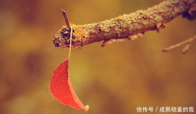 不尽|50句古风,写不尽一世的寂寞,画不成一生的相思