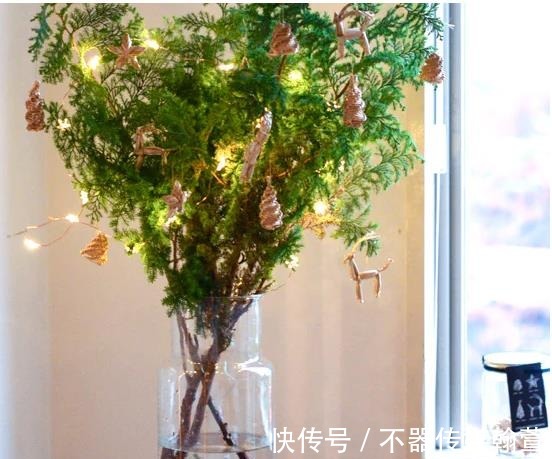 绿色植被|美学家居:用“绿植”装点房间,究竟有多雅致?