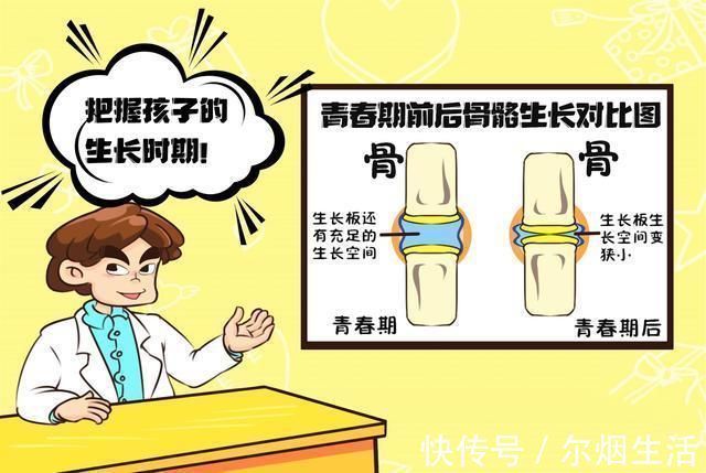 发育|骨骺线闭合:前有信号,后有预警,别让孩子成为矮子后又长成胖子
