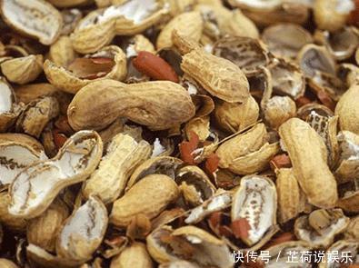 长寿花|此“2种壳”，丢掉就浪费了，留下来“养花”，花卉根系窜满盆！