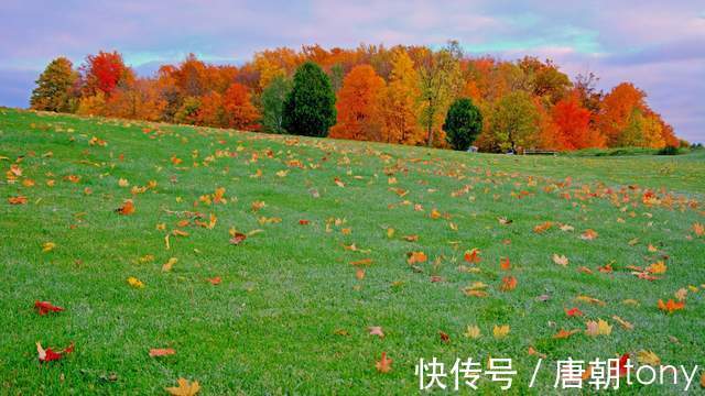 季节|秋天，让我们更加珍惜那些走过的日子，顿悟生命的真谛